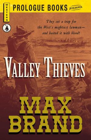 Cover of the book Valley Thieves by Korrel Kanoy
