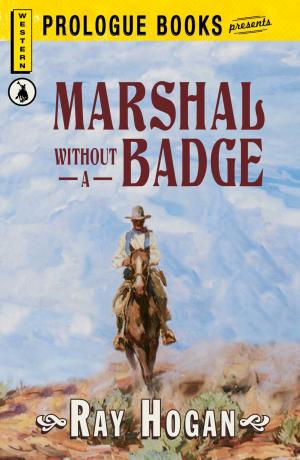 Cover of the book Marshall without a Badge by David Dillard-Wright