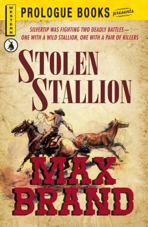 Book cover of Stolen Stallion