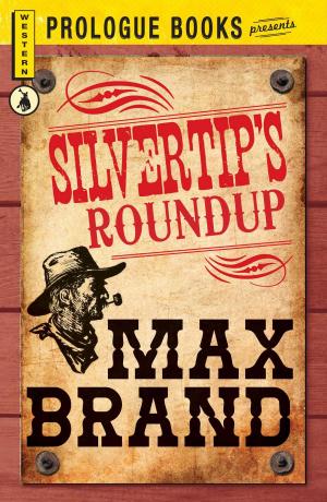 Cover of the book Silvertip's Roundup by Michael O'Neill