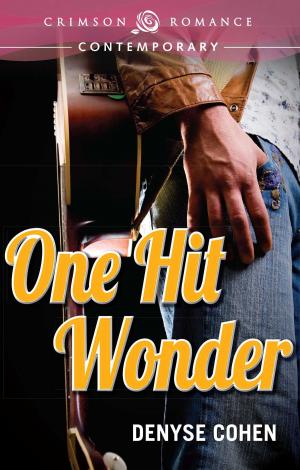 Cover of the book One Hit Wonder by Bobbi Romans
