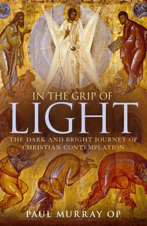 Cover of the book In the Grip of Light by Tom Percival