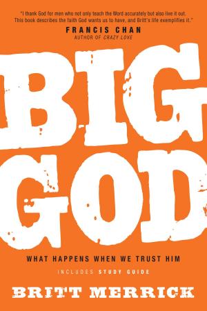 Cover of the book Big God with Study Guide by Susan J. R.N., Ed.D Zonnebelt-Smeenge, Robert C. De Vries