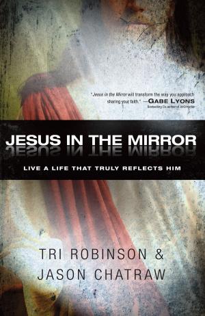 Cover of the book Jesus in the Mirror by David Johnson, Jeff VanVonderen
