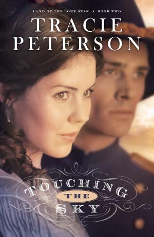 Book cover of Touching the Sky (Land of the Lone Star Book #2)