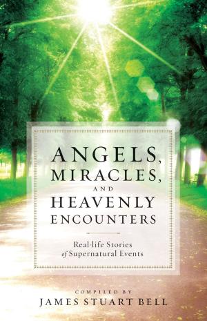 bigCover of the book Angels, Miracles, and Heavenly Encounters by 