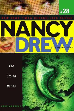 Cover of the book The Stolen Bones by Lois Ruby
