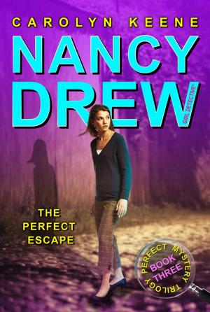Cover of the book The Perfect Escape by Franklin W. Dixon