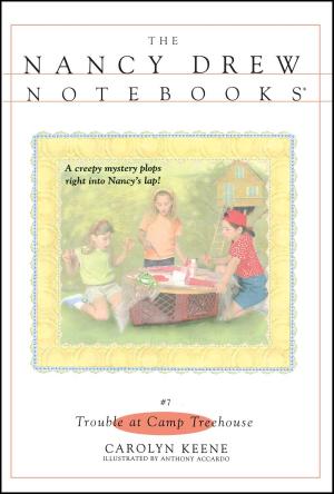 Cover of the book Trouble at Camp Treehouse by Marguerite Henry
