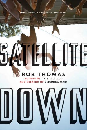 bigCover of the book Satellite Down by 
