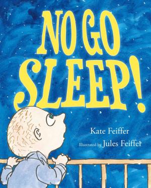 Cover of the book No Go Sleep! by Paula Wiseman