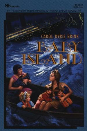 Cover of the book Baby Island by Heidi Lang, Kati Bartkowski