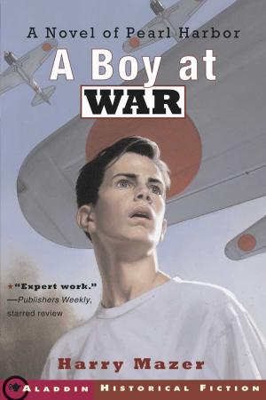 Cover of the book A Boy at War by Paul Slansky