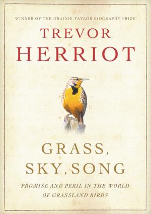 Book cover of Grass, Sky, Song