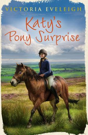 Cover of the book Katy's Pony Surprise by Moira Butterfield