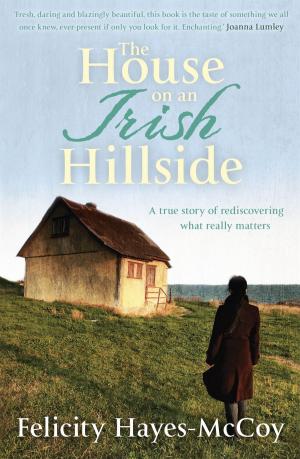 Book cover of The House on an Irish Hillside