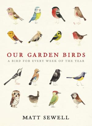 Cover of the book Our Garden Birds by Sarah Fisher