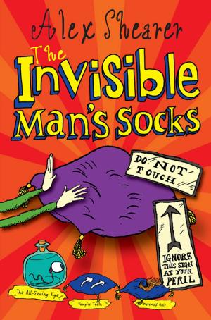 Cover of the book The Invisible Man's Socks by Amanda Li