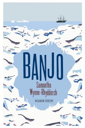 Cover of the book Banjo by Robert Westall