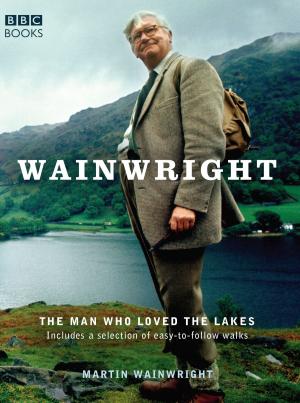Cover of the book Wainwright by Cecelia Ahern