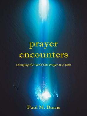 Book cover of Prayer Encounters