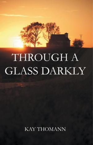 Cover of the book Through a Glass Darkly by Jeffrey Allen Davis