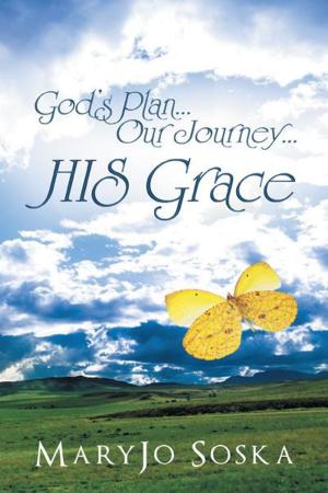 Cover of the book God’S Plan…Our Journey…His Grace by Julie Brawner