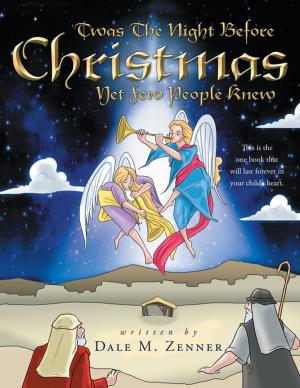 Cover of the book 'Twas the Night Before Christmas by Beth C. Walker