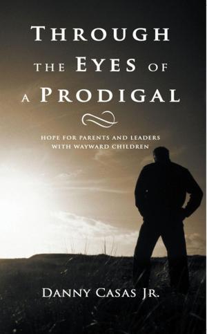 Cover of the book Through the Eyes of a Prodigal by Theodore W. Sanders