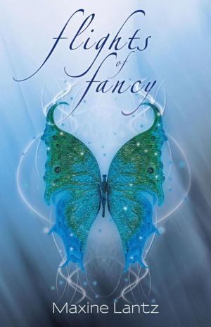 Cover of the book Flights of Fancy by Daniel Pelletier