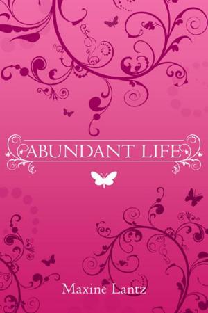 Cover of the book Abundant Life by Fred Bernhard, Jeremy Ashworth