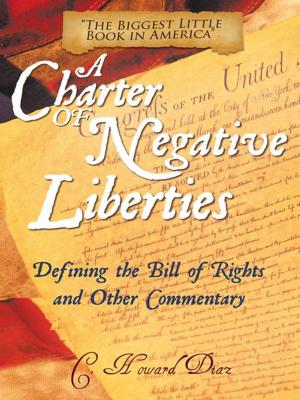 Cover of the book A Charter of Negative Liberties by Heidi Tweten