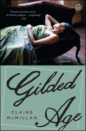 Cover of the book Gilded Age by Lisa Lutz