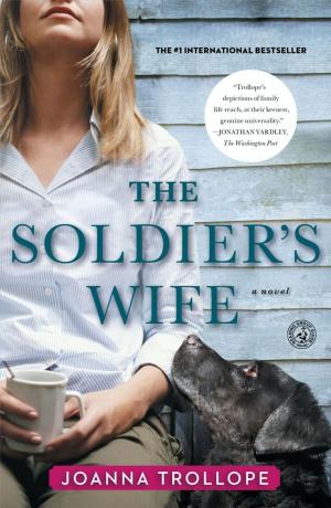 bigCover of the book The Soldier's Wife by 
