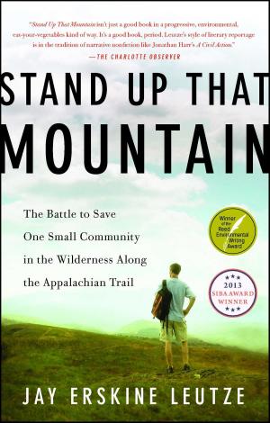 Book cover of Stand Up That Mountain