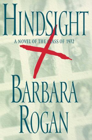 Cover of the book Hindsight by Sailor Stone