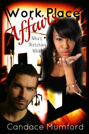 bigCover of the book Workplace Affairs ( Who's Watching Who?) A Novelette by 