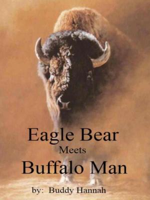 Book cover of Eagle Bear Meets Buffalo Man