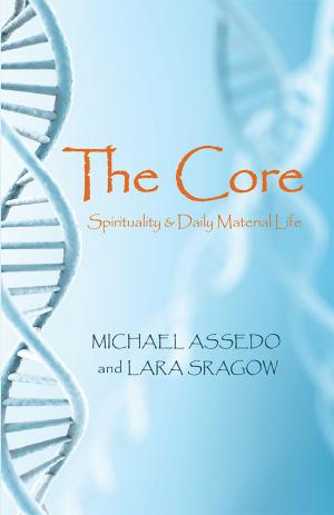 Cover of the book The Core: by M.J. Domet