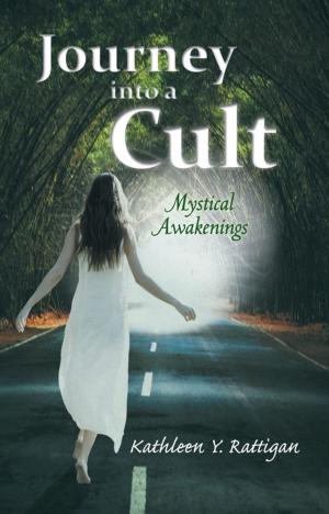 Cover of the book Journey into a Cult by Marissa Kristal