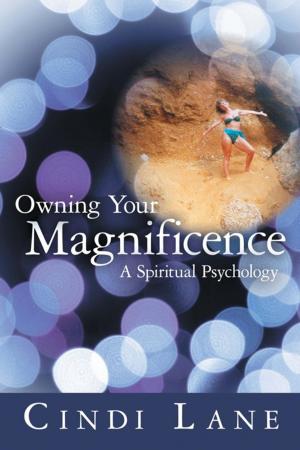 Cover of the book Owning Your Magnificence by Jo Barnard