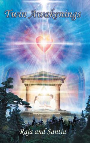 Cover of the book Twin Awakenings by Philip Atlas Clausen