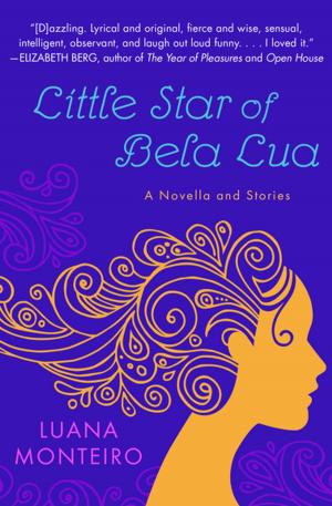 Cover of the book Little Star of Bela Lua: A Novella and Stories by Steven Gaines