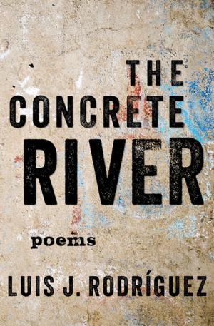 Cover of the book The Concrete River by Cynthia Freeman