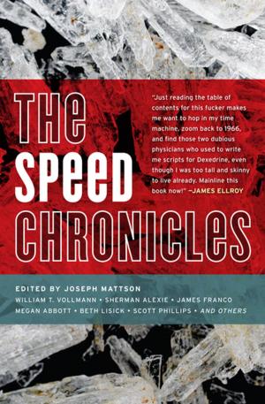 Cover of the book The Speed Chronicles by Chris A. Bolton, Bill Cameron, Dan DeWeese, Monica Drake, Ariel Gore, Justin Hocking, Joëlle Jones, Karbo, Megan Kruse, Gigi Little, Luciana Lopez, Jamie S. Rich, Jonathan Selwood, Floyd Skloot, Zoe Trope, Jess Walter, Kimberly Warner-Cohen