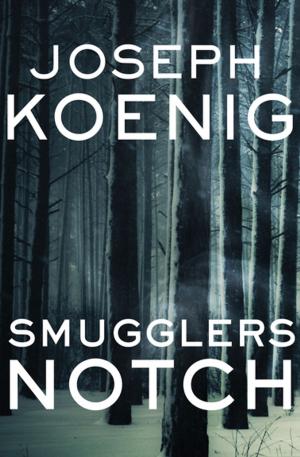 Book cover of Smugglers Notch