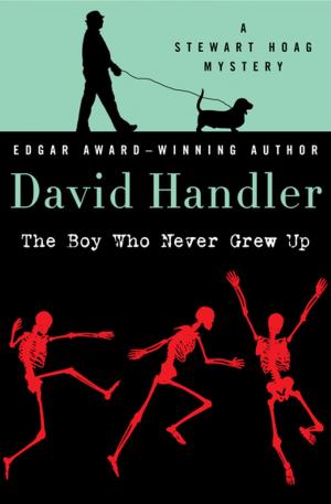 Cover of the book The Boy Who Never Grew Up by Ellen Seltz