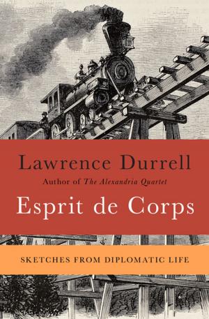 Cover of the book Esprit de Corps by Virginia Hamilton