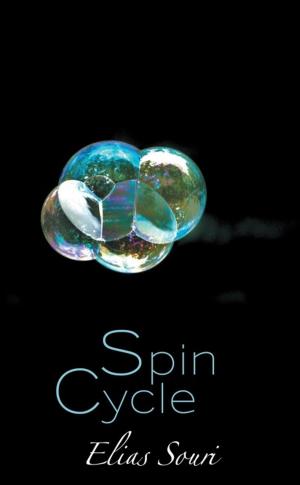 Cover of the book Spin Cycle by Bob Villarreal