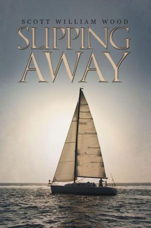 Cover of the book Slipping Away by Václav Polívka